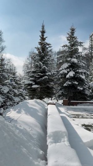 Наслаждаемся зимней красотой любимого университета 💙