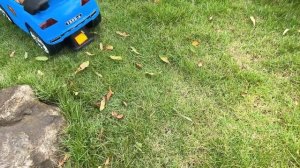 Monkey Baby Bon Bon buy toilet paper in the supermarket and plays with the Puppy So cute