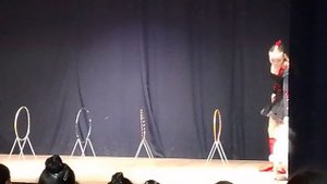 Дрессированная собачка- 1001 песенка