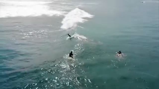 제주 패들보드 서핑클럽 Jeju SUP Surfing Club