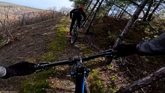 Бонапарт с Вломо 2025