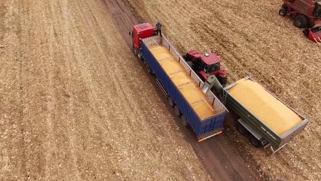 уборка урожая кукурузы 2021 Полтава смотреть онлайн