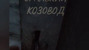 Коза и полная темнота.