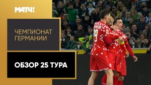 Чемпионат Германии. Обзор 25-го тура