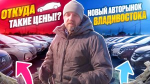 Новый авторынок Владивостока. Откуда такие цены?