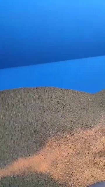 Посев горчицы сеялка ремсинтез сич 3.6