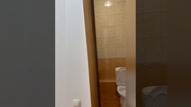 сауна