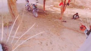 parimey Technology basket desi village style basket