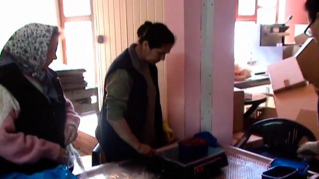 Prozor.net - Colakcommerc - Pakovanje maline смотреть онлайн