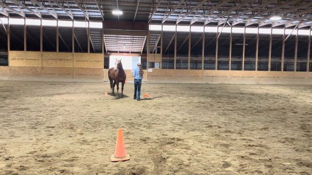 Grace Thomas ILHA April Online Show 1 смотреть онлайн