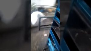 Вибросито калибратор зерна