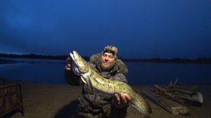 МЕСТНЫЕ МЕНЯ ЗАБРОСИЛИ, А САМИ УЕХАЛИ! ДОНКИ-ЗАКИДУШКИ НА ПЕСЧАНОЙ КОСЕ \ ВЗЯЛ ТРОФЕЙНОГО НАЛИМА!