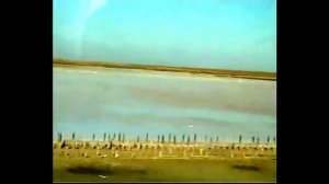 Нас море синее ласкало Песня о море