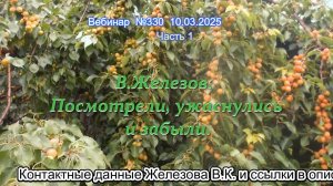 Железов Валерий. Вебинар 330. ч.1. В.Железов. Посмотрели, ужаснулись и забыли.