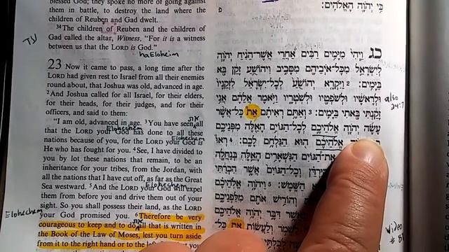 (#173) Two witnesses of Yeshua as the Alef Tav את | Jos 23:3 & 24:7 смотреть онлайн