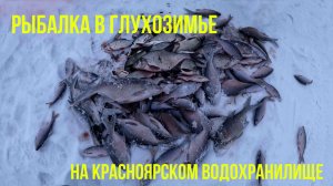 Рыбалка в глухозимье на Красноярском водохранилище
