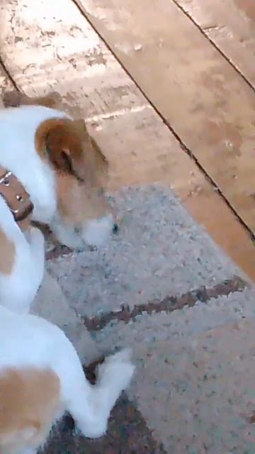 мем каторый будет папулярен в 3000 году смотреть онлайн