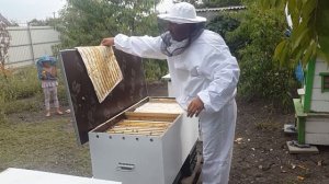 ОБЗОР НА МОЕ ПЧЕЛОВОДСТВО 🐝