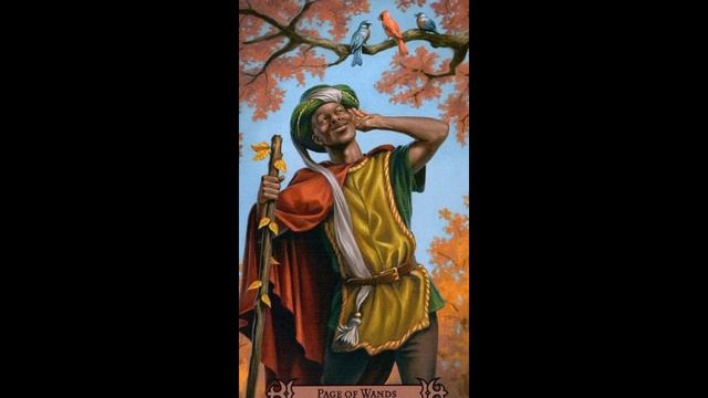 Паж жезлов. Значение карт таро