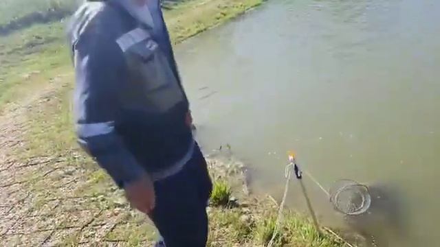 Малый пруд - за час 10,0 кг карпа смотреть онлайн