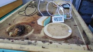 ставлю магазин с сушью в марте, какая температура в магазине, когда на улице холодно , 10.03.2025