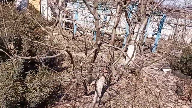 Весеннее соцветье Универсолиса 9.03. Одесса, у храма-пирамиды. Мир Универсологии