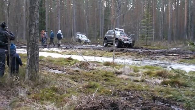 День Бобра 2014 смотреть онлайн