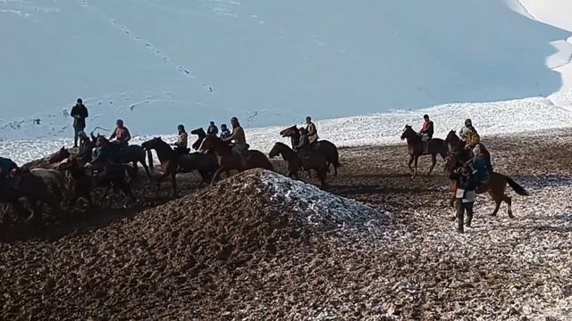 Асп ба номи Золотой аспи Хожи Фархот ай Н.Рудаки Ж.Султонобод 14.01.2023 смотреть онлайн