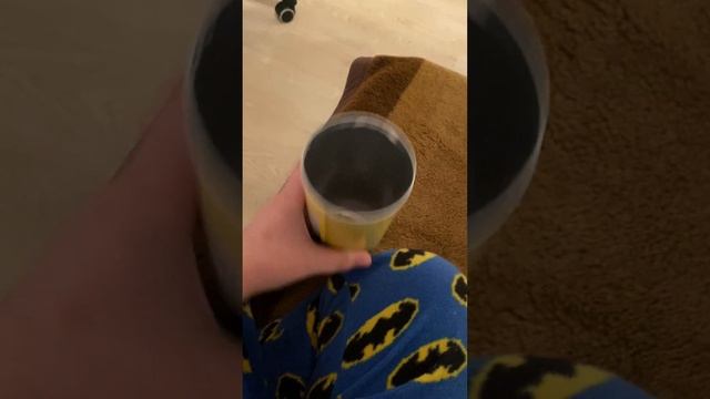 Новый питомец джунгарик пока что без имени)