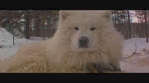 Саамская деревня