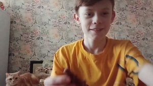 Обзор на Monster Flex Mini