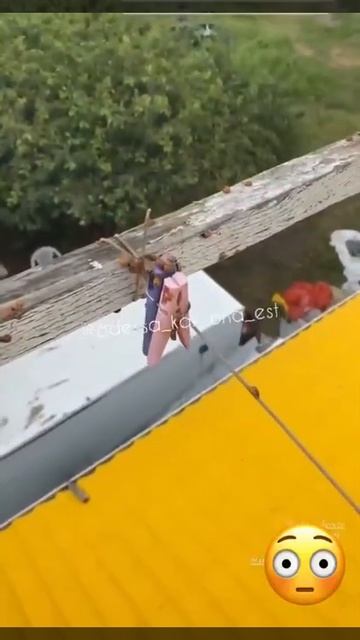 Одесское побережье атаковали божьи коровки смотреть онлайн