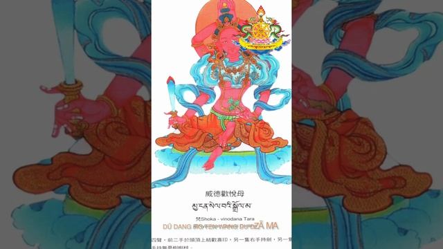 21 Tara Prayer by Druk Sangag Choeling Monastery’s monks смотреть онлайн