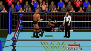 WWF - Super Wrestlemania Playthrough (SEGA GENESIS⧸MEGA DRIVE) (Perfect) [66SwTvTFSi8]