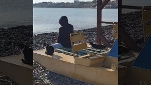 Интересно, что добывают лебеди на дне озера Соленое в Новороссийске?