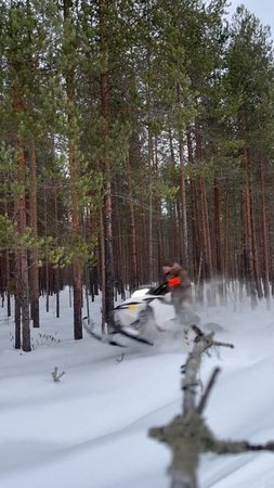 BRP FREERIDE 800 E-TEC 146