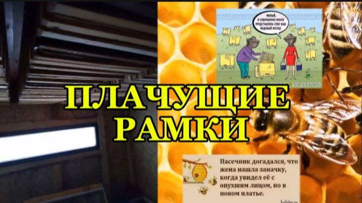 ПЛАЧУЩИЕ ПЧЕЛОВОДНЫЕ РАМКИ смотреть онлайн