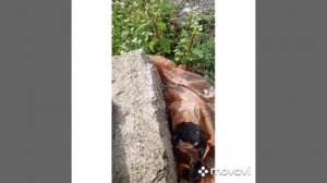 Баня за копейки своими руками.