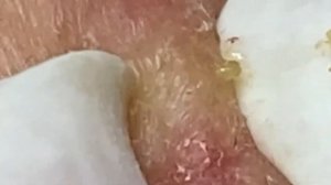 Enjoy Your Day With LN Spa #7448