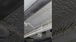 BYD как вам мужчины 🙄