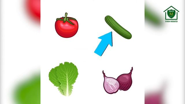 Sebzeler Konusunu Rusça Öğreniyoruz! смотреть онлайн