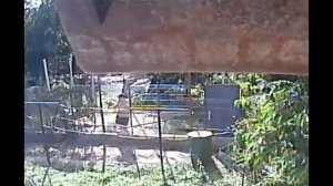 Маньяк-террорист Ножкин Андрей Степанович готовит очередной разбой на мой участок г. Волгоград