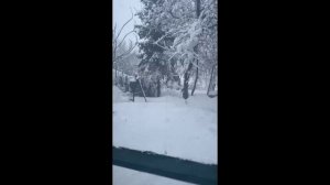 Падал прошлогодний снег. Март 2025 год.