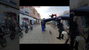 Олени на самокате - 1.mp4