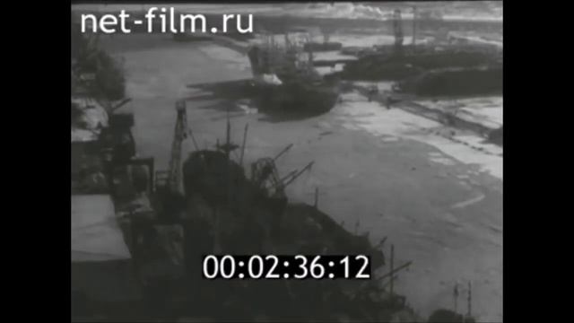 GRIBOYEDOV - IMO 5136189 смотреть онлайн