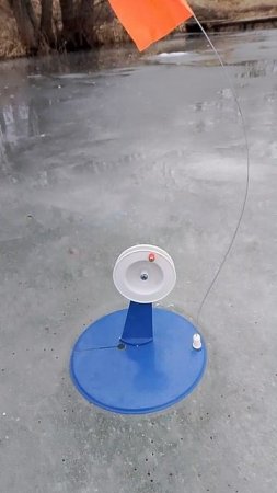 1000012915.mp4