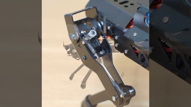 Small Body Inspires Powerful Energy---PuppyPi смотреть онлайн