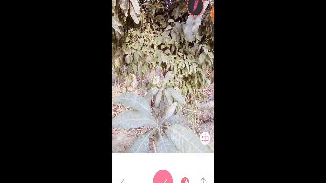 Best Two camera apps смотреть онлайн