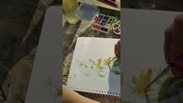 Рисуем марьянник дубравный, этюд на свежем воздухе с натуры
