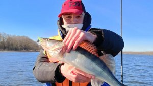 Первый судак! Как же я долго ждал этого!!